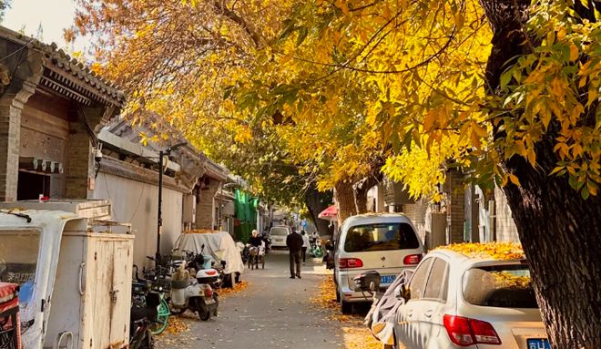 OTA三平台核验实地认证 口碑最好的旅社PG电子麻将胡了2模拟器北京旅行社前十(图4)